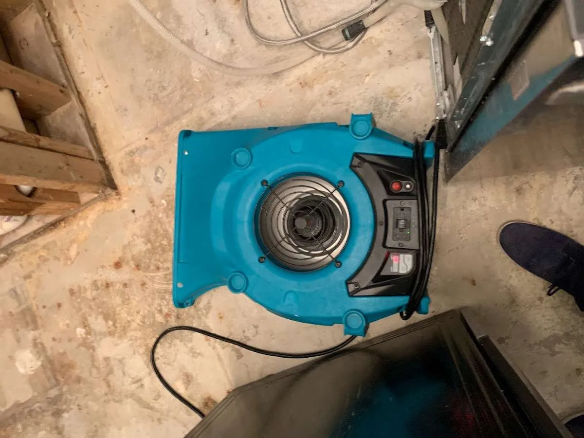 Air mover drying equipment for Mold Remediation & Removal in West Hattiesburg