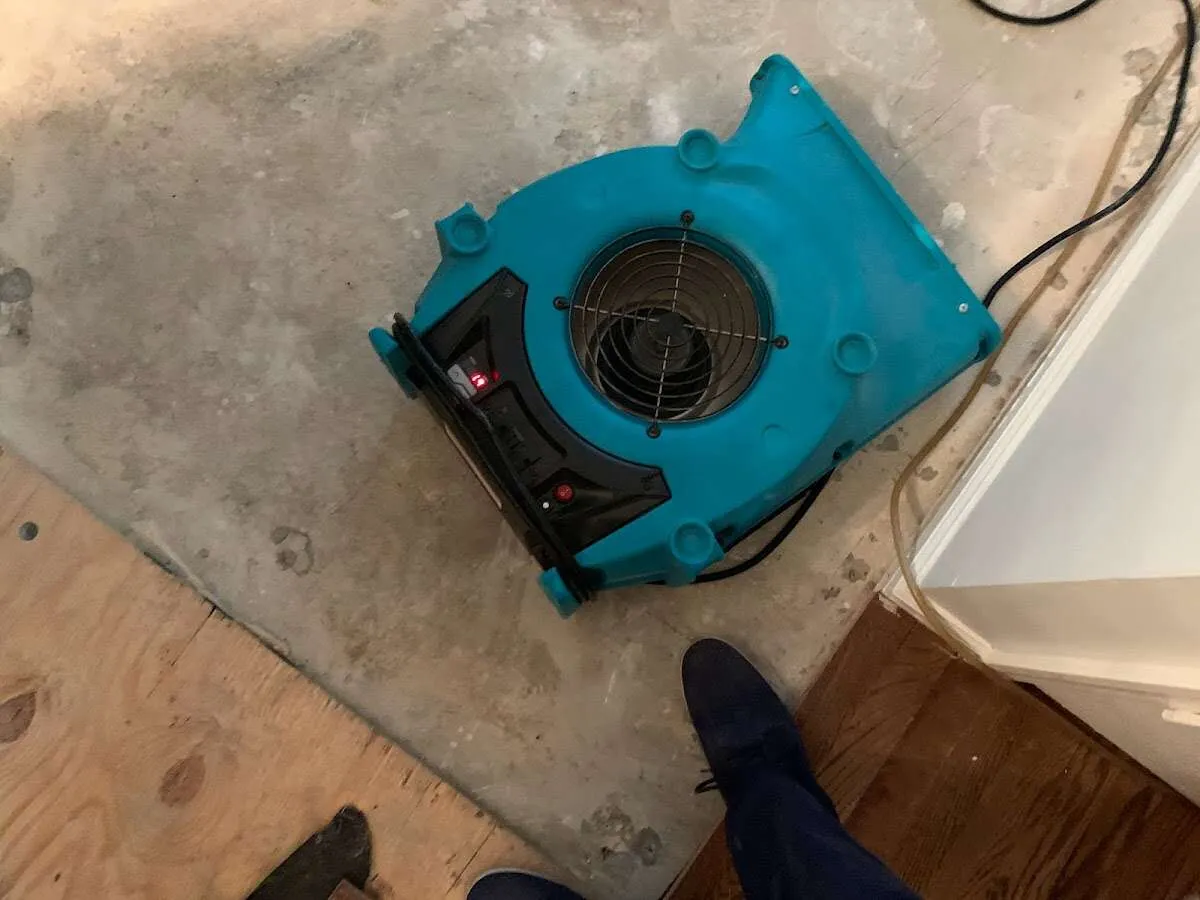 Air mover drying subfloor during Commercial Water Damage Restoration in West Hattiesburg